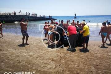 Melenara rememora el chinchorro y la varada del pescado (Foto TA)